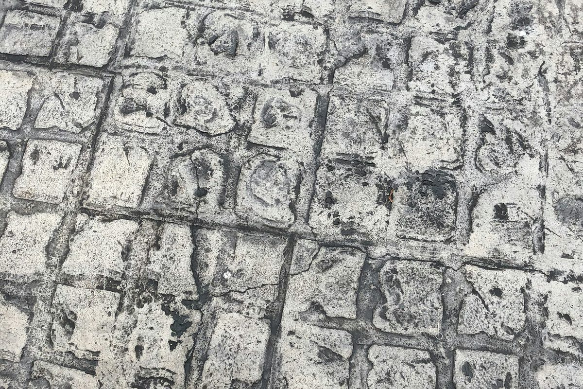 Stamped &amp; Decorative